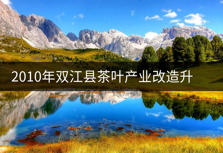 2010年雙江縣茶葉產業改造升級步伐加快