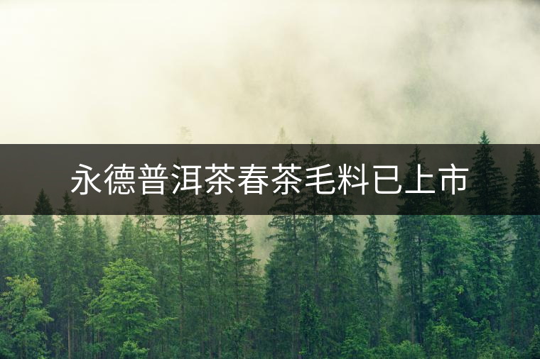 永德普洱茶春茶毛料已上市 永德普洱茶春茶毛料已上市