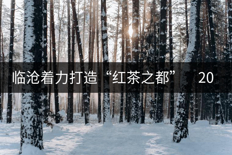 臨滄著力打造“紅茶之都” 2015年茶產業產值力爭達到50億元 臨滄著力打造“紅茶之都” 2015年茶產業產值力爭達到50億元