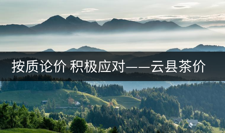 按質論價 積極應對——云縣茶價實現理性回歸 按質論價 積極應對——云縣茶價實現理性回歸