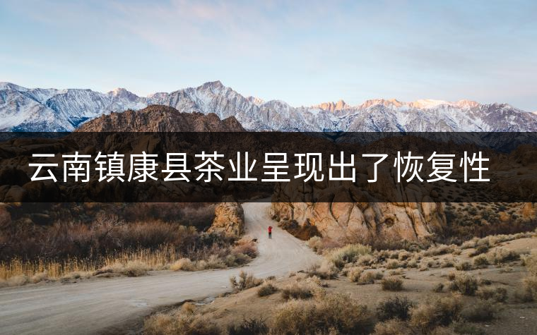 云南鎮康縣茶業呈現出了恢復性增長的態勢