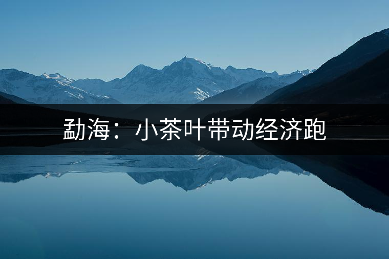 勐海：小茶葉帶動經濟跑