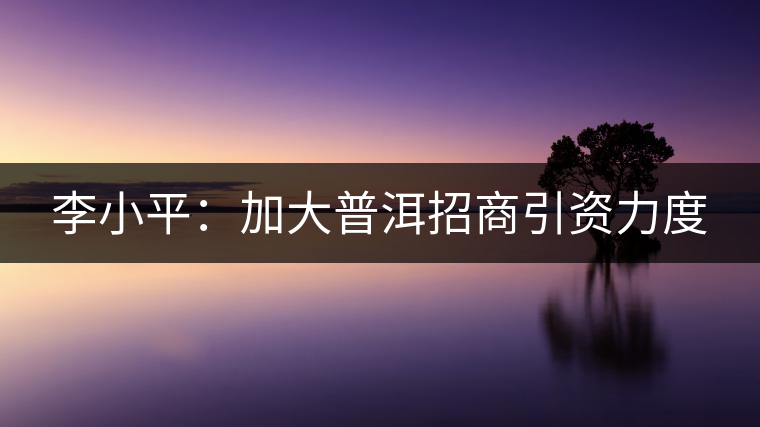 李小平:加大普洱招商引資力度 李小平:加大普洱招商引資力度