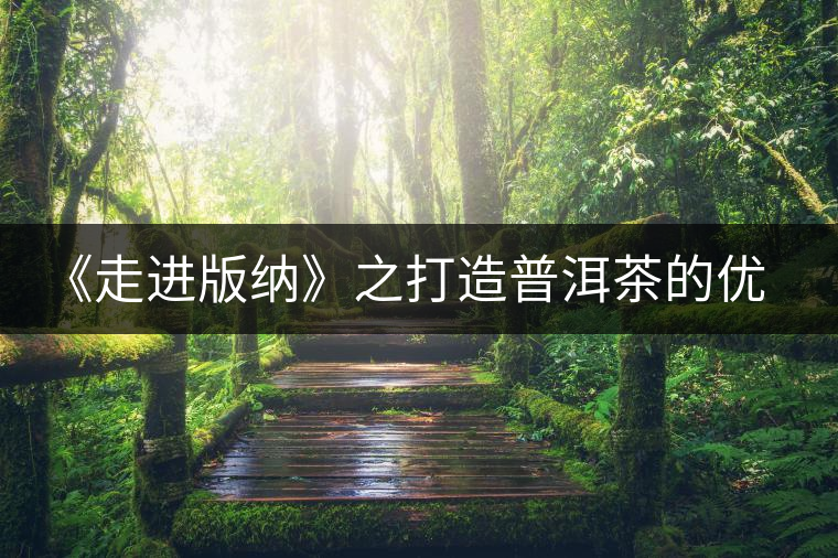 《走進版納》之打造普洱茶的優質基地