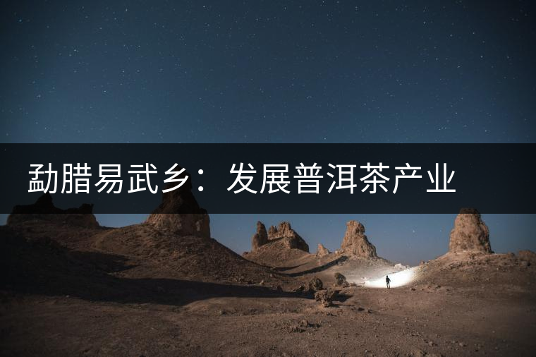 勐臘易武鄉:發展普洱茶產業 打造“中國貢茶第一鎮” 勐臘易武鄉:發展普洱茶產業 打造“中國貢茶第一鎮”