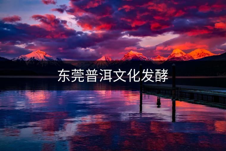 東莞普洱文化發酵 東莞普洱文化發酵