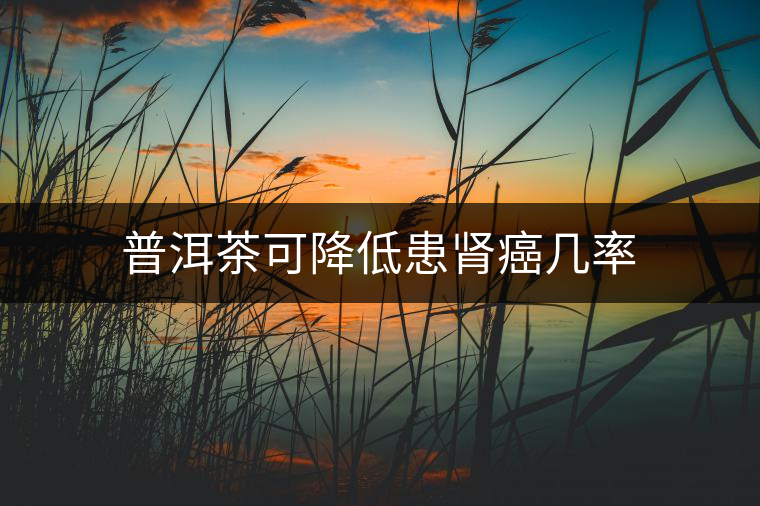 普洱茶可降低患腎癌幾率