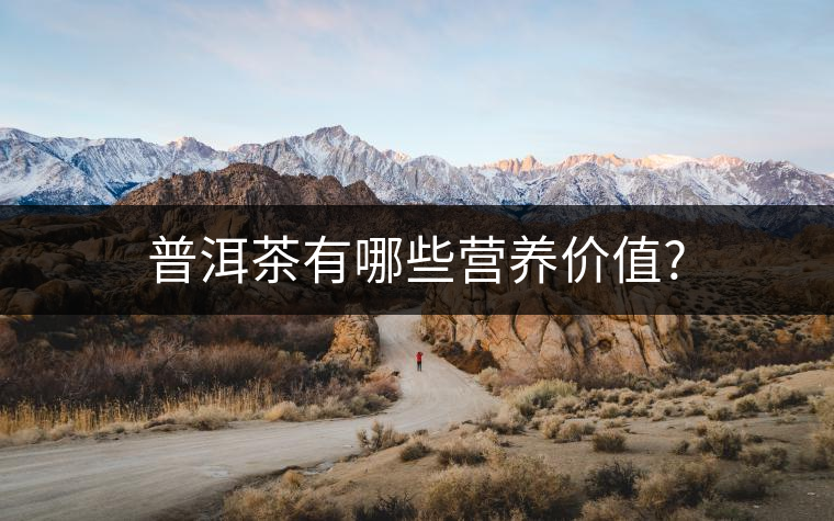 普洱茶有哪些營養價值?