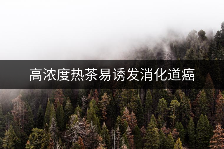 高濃度熱茶易誘發消化道癌 高濃度熱茶易誘發消化道癌