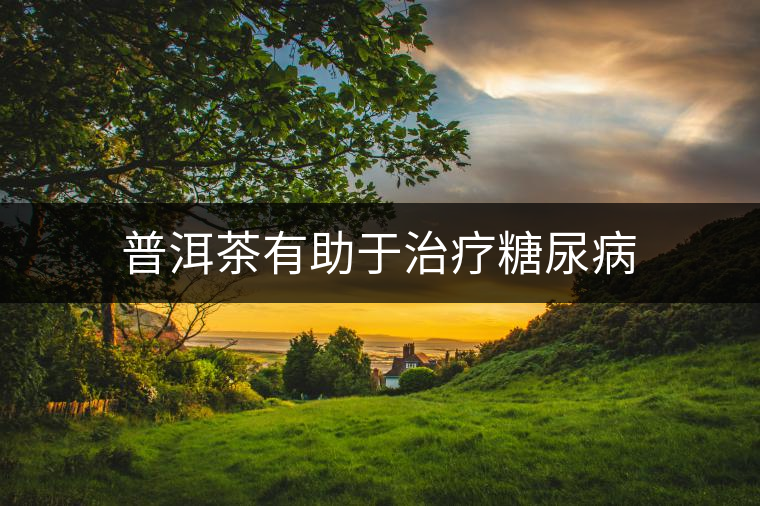 普洱茶有助于治療糖尿病 普洱茶有助于治療糖尿病
