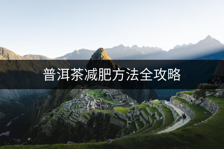 普洱茶減肥方法全攻略 普洱茶減肥方法全攻略