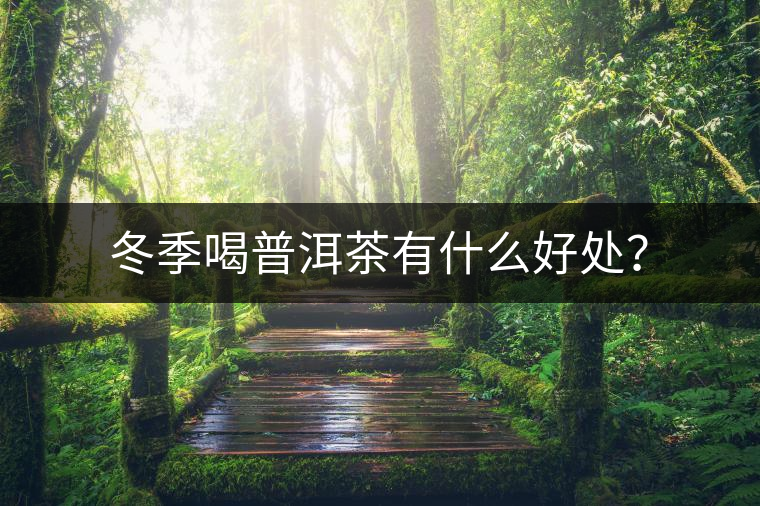 冬季喝普洱茶有什么好處? 冬季喝普洱茶有什么好處?