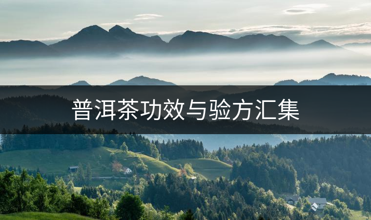 普洱茶功效與驗方匯集