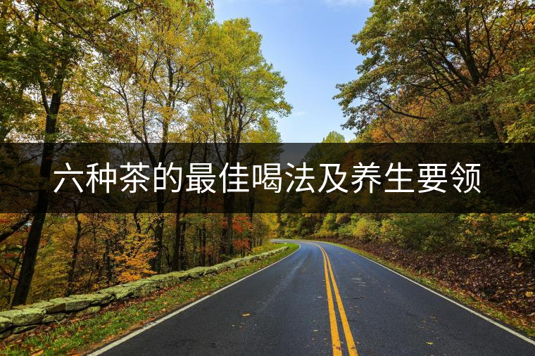 六種茶的最佳喝法及養生要領