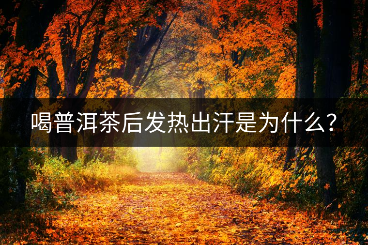 喝普洱茶后發熱出汗是為什么？
