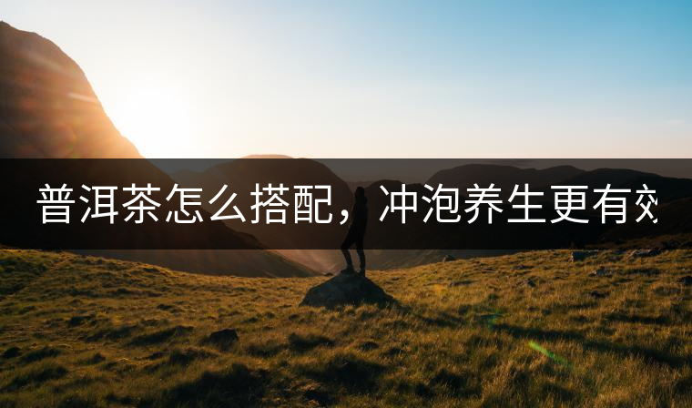 普洱茶怎么搭配，沖泡養生更有效？