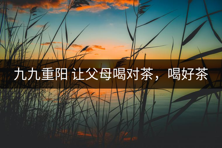 九九重陽 讓父母喝對茶,喝好茶 九九重陽 讓父母喝對茶,喝好茶