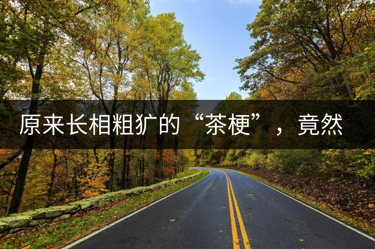 原來長相粗獷的“茶梗”,竟然還有這么多的作用 原來長相粗獷的“茶梗”,竟然還有這么多的作用