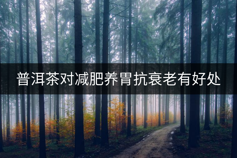 普洱茶對減肥養胃抗衰老有好處