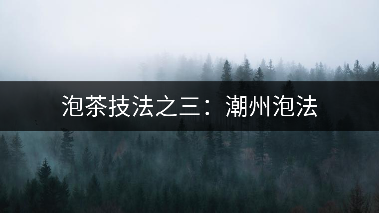 泡茶技法之三：潮州泡法