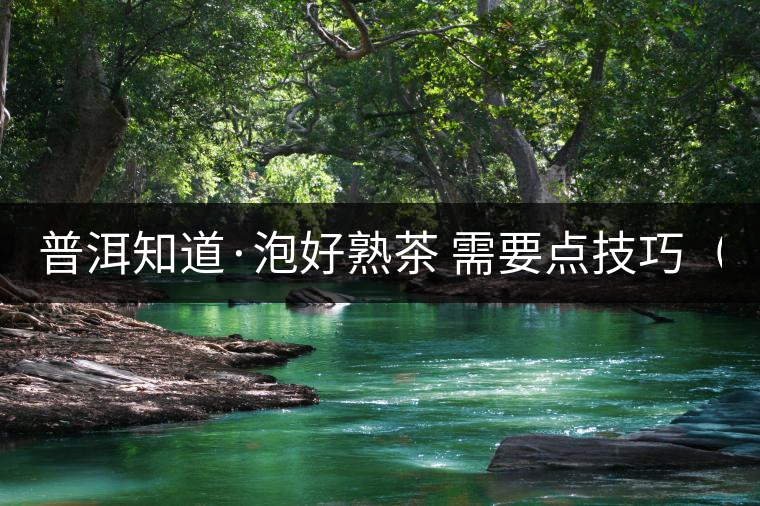 普洱知道·泡好熟茶 需要點技巧(3) 普洱知道·泡好熟茶 需要點技巧(3)