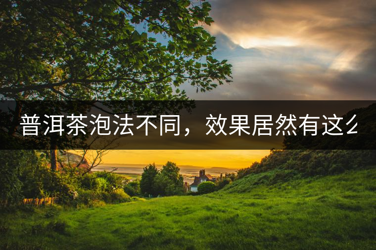普洱茶泡法不同，效果居然有這么大區別！