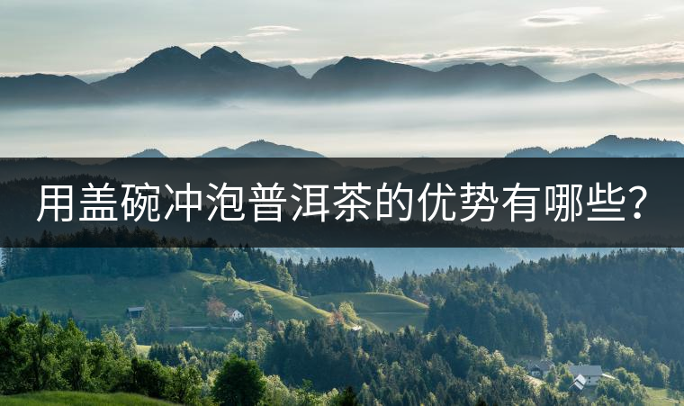 用蓋碗沖泡普洱茶的優勢有哪些? 用蓋碗沖泡普洱茶的優勢有哪些?