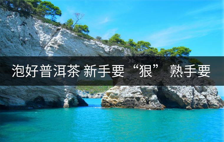 泡好普洱茶 新手要“狠” 熟手要“收” 泡好普洱茶 新手要“狠” 熟手要“收”