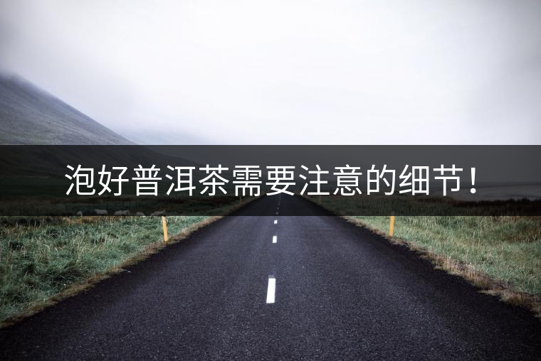 泡好普洱茶需要注意的細節! 泡好普洱茶需要注意的細節!