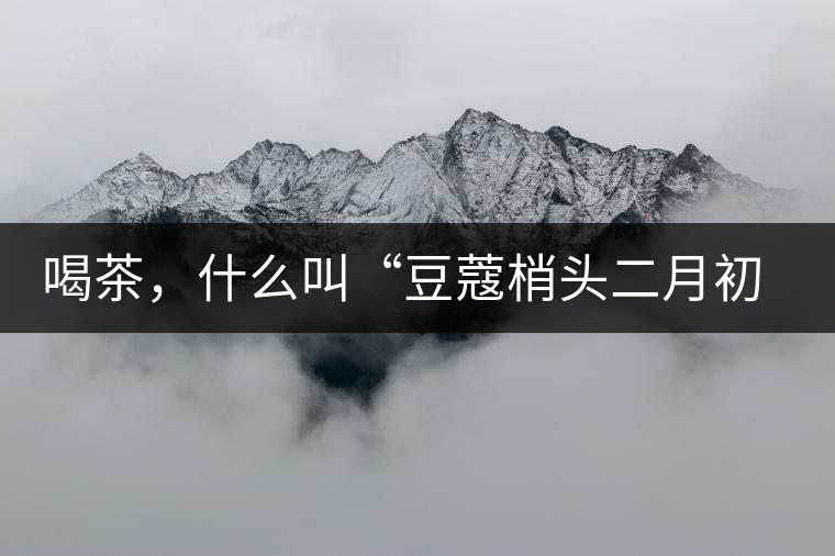 喝茶,什么叫“豆蔻梢頭二月初”? 喝茶,什么叫“豆蔻梢頭二月初”?