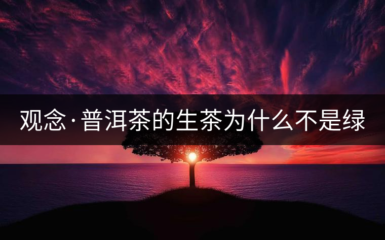 觀念·普洱茶的生茶為什么不是綠茶? 觀念·普洱茶的生茶為什么不是綠茶?
