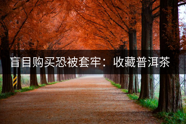 盲目購(gòu)買(mǎi)恐被套牢:收藏普洱茶首先得好喝 盲目購(gòu)買(mǎi)恐被套牢:收藏普洱茶首先得好喝