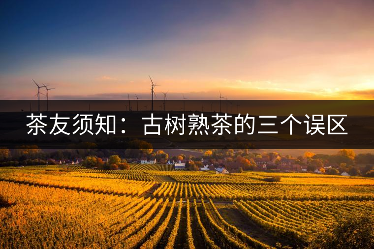 茶友須知：古樹熟茶的三個誤區