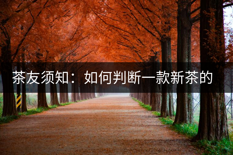 茶友須知:如何判斷一款新茶的陳化潛力? 茶友須知:如何判斷一款新茶的陳化潛力?