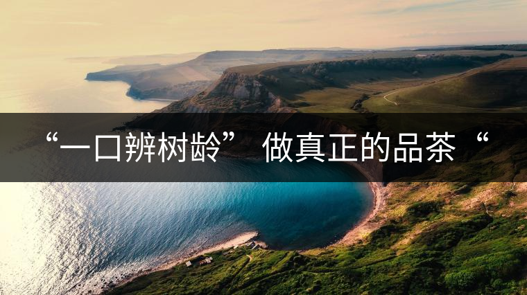 “一口辨樹(shù)齡” 做真正的品茶“大師”! “一口辨樹(shù)齡” 做真正的品茶“大師”!