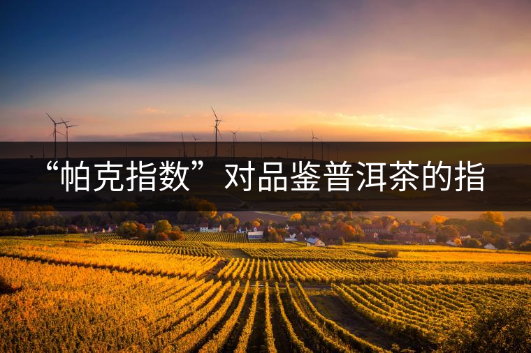 “帕克指數”對品鑒普洱茶的指導意義在哪里?「跨界有道」 “帕克指數”對品鑒普洱茶的指導意義在哪里?「跨界有道」