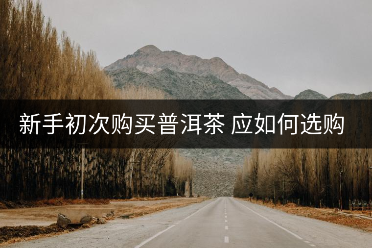 新手初次購買普洱茶 應如何選購？