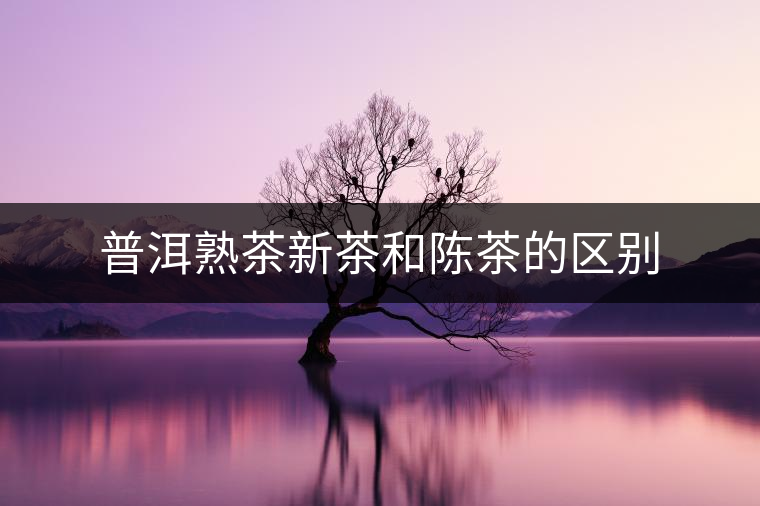 普洱熟茶新茶和陳茶的區別
