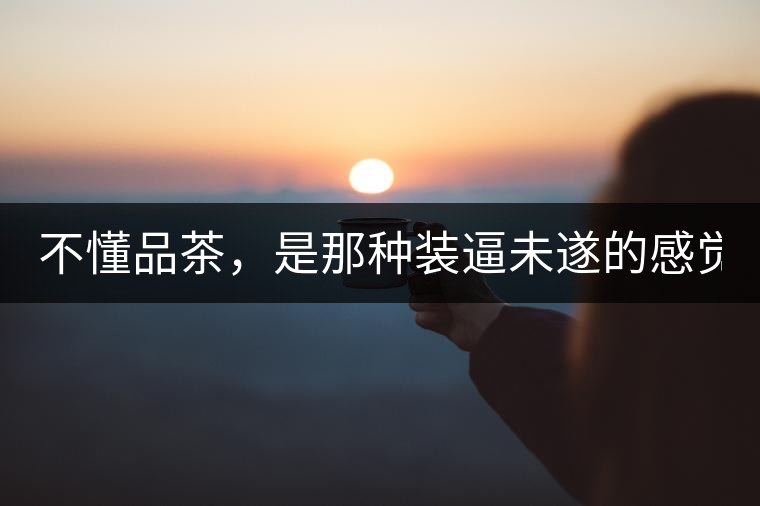 不懂品茶，是那種裝逼未遂的感覺？