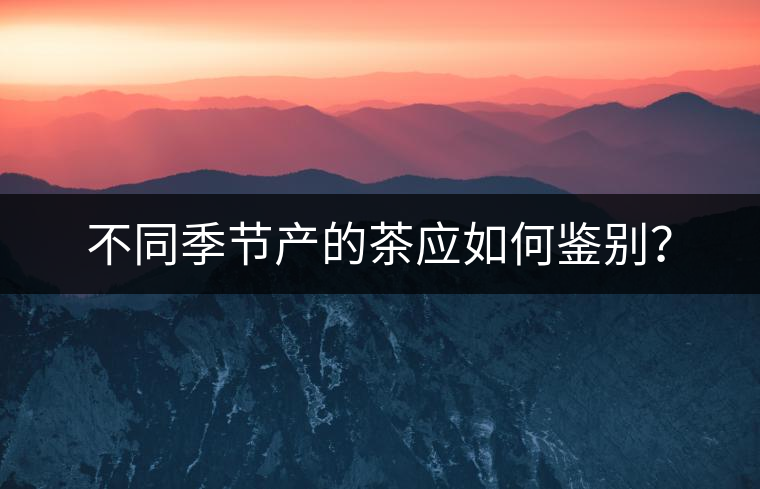 不同季節產的茶應如何鑒別? 不同季節產的茶應如何鑒別?