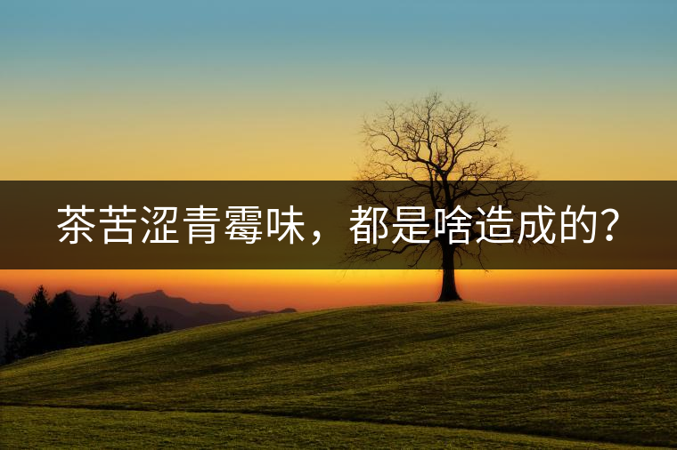 茶苦澀青霉味,都是啥造成的? 茶苦澀青霉味,都是啥造成的?