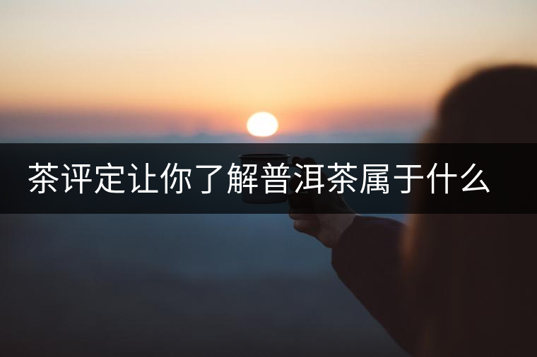 茶評(píng)定讓你了解普洱茶屬于什么茶系？