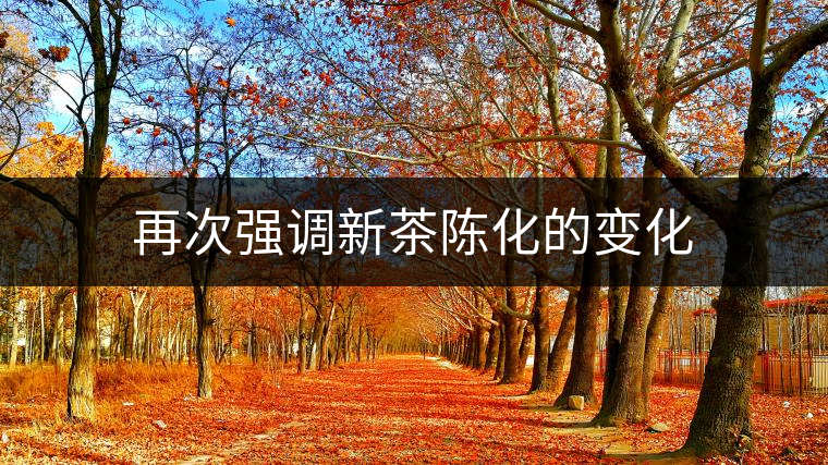 再次強調新茶陳化的變化