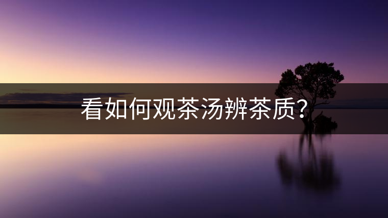 看如何觀茶湯辨茶質? 看如何觀茶湯辨茶質?