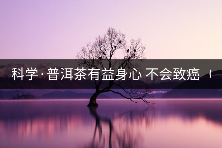 科學·普洱茶有益身心 不會致癌（2）