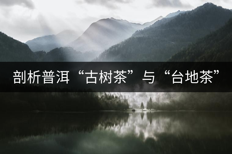 剖析普洱“古樹茶”與“臺地茶” 剖析普洱“古樹茶”與“臺地茶”