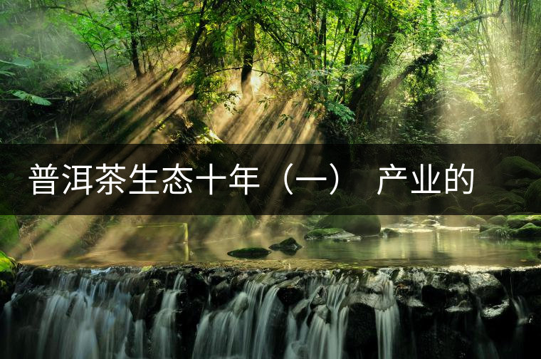 普洱茶生態十年(一) 產業的生態之路:從產量到品質 普洱茶生態十年(一) 產業的生態之路:從產量到品質