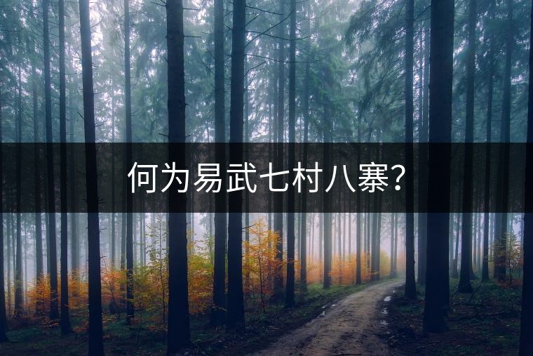 何為易武七村八寨? 何為易武七村八寨?