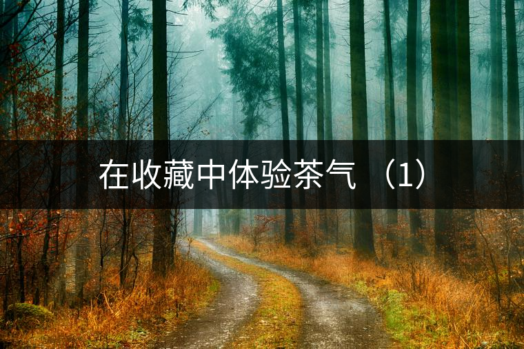 在收藏中體驗茶氣 （1）