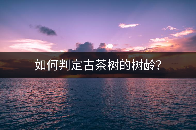 如何判定古茶樹的樹齡? 如何判定古茶樹的樹齡?